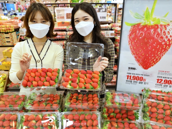22일, 서울 중구 봉래동에 위치한 서울역점에서 모델들이 '무라벨 한판 설향 딸기'를 홍보하고 있EK.[사진=롯데마트]