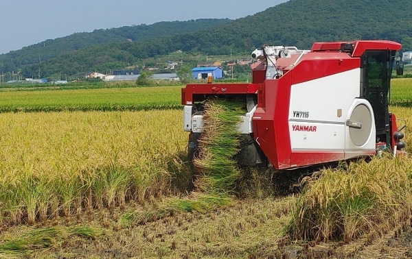 김포평야 등 쌀 관련 (사진=김포시)
