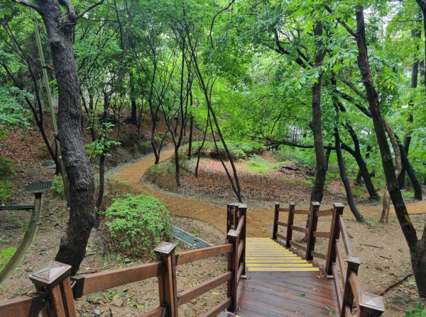 용인시는 수지구 죽전동에 위치한 대지산근린공원 산책로를 새 단장했다고 30일 밝혔다. (사진=용인시)