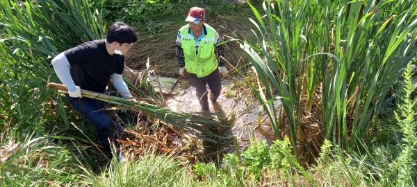 정왕본동 행정복지센터(동장 오을근)는 지난 7월 1일 집중호우로 인해 침수된 배수로 및 농수로의 일제 점검에 나섰다. (사진=시흥시)